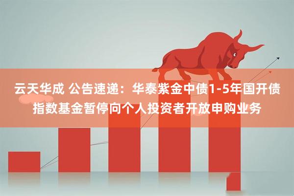 云天华成 公告速递：华泰紫金中债1-5年国开债指数基金暂停向个人投资者开放申购业务